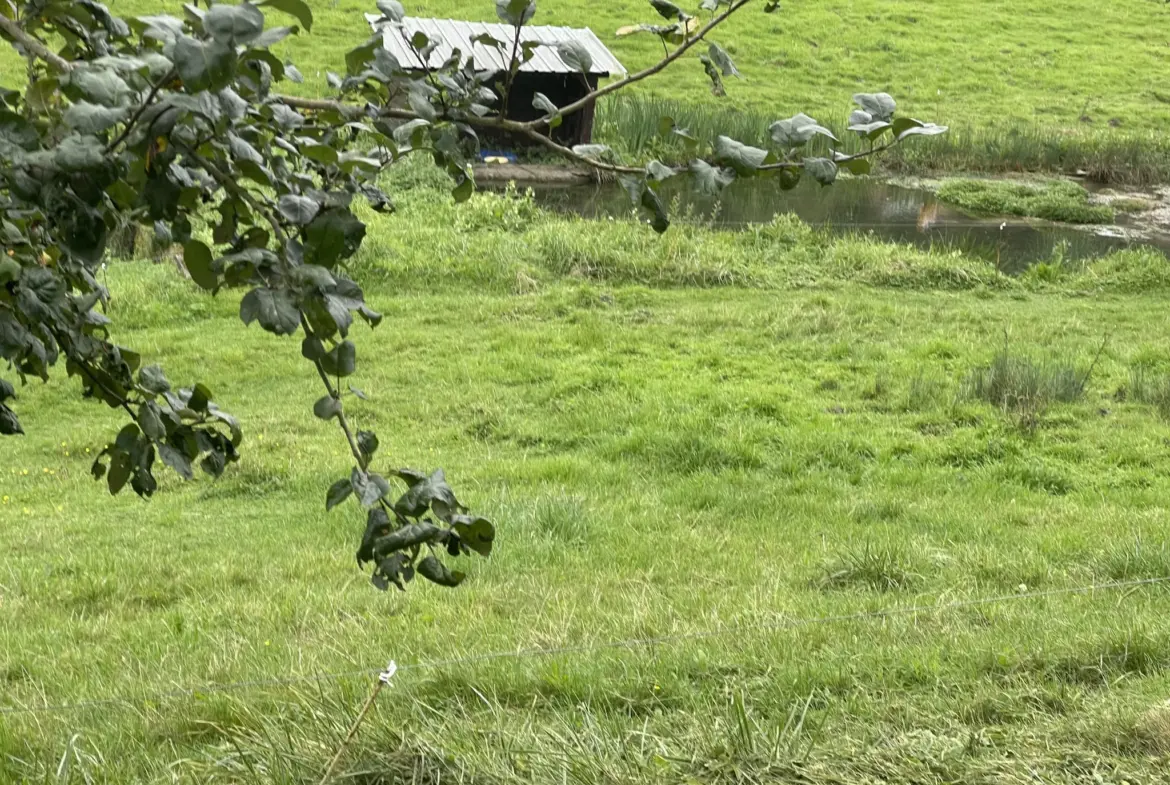 À vendre : Belle longère normande avec possibilités d'aménagement à Canapville 