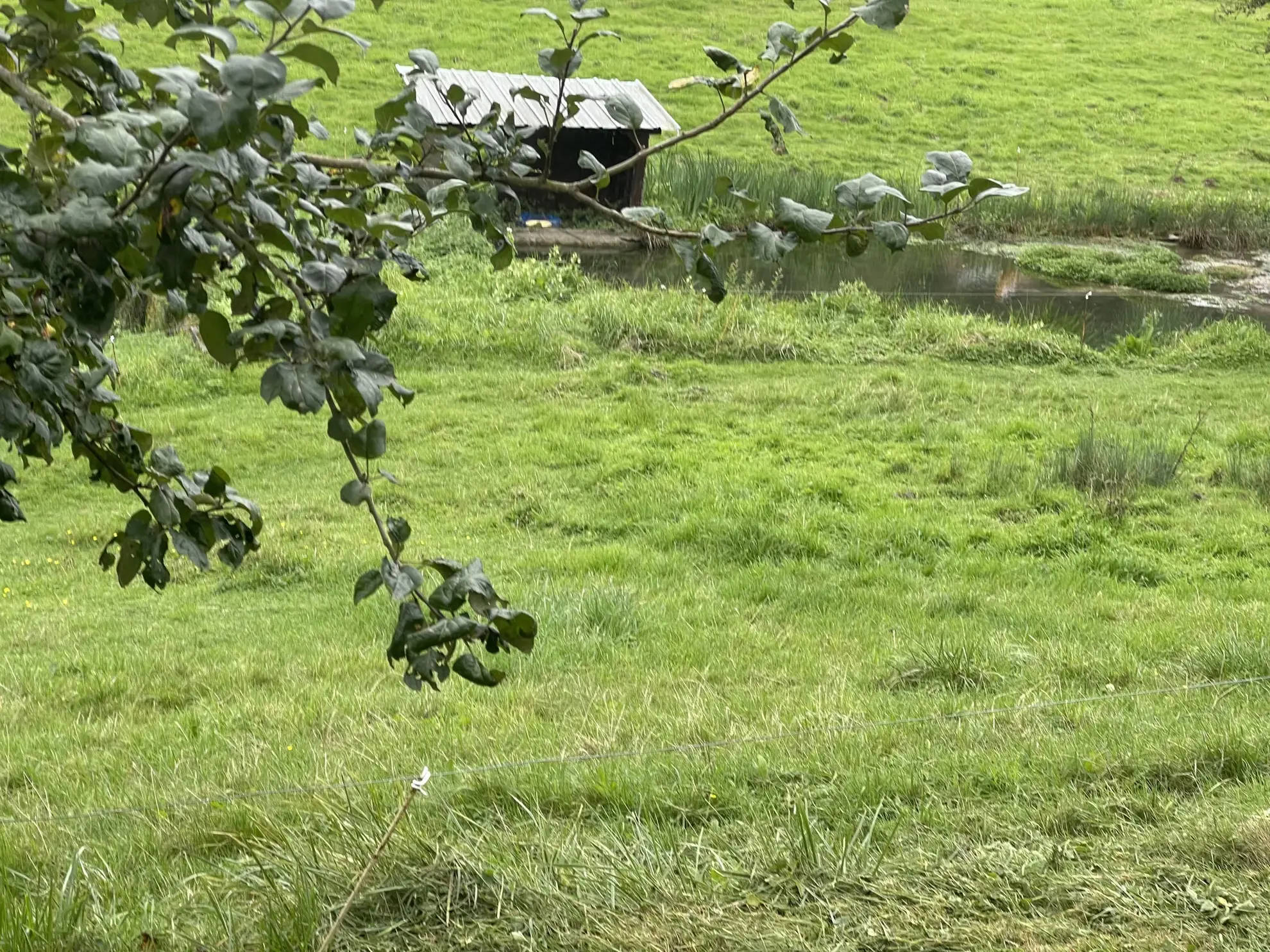 À vendre : Belle longère normande avec possibilités d'aménagement à Canapville 