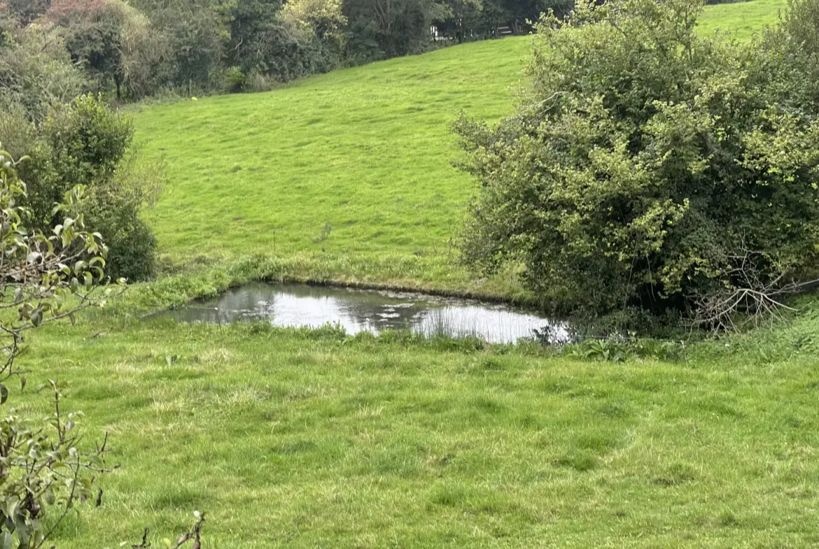 À vendre : Belle longère normande avec possibilités d'aménagement à Canapville 