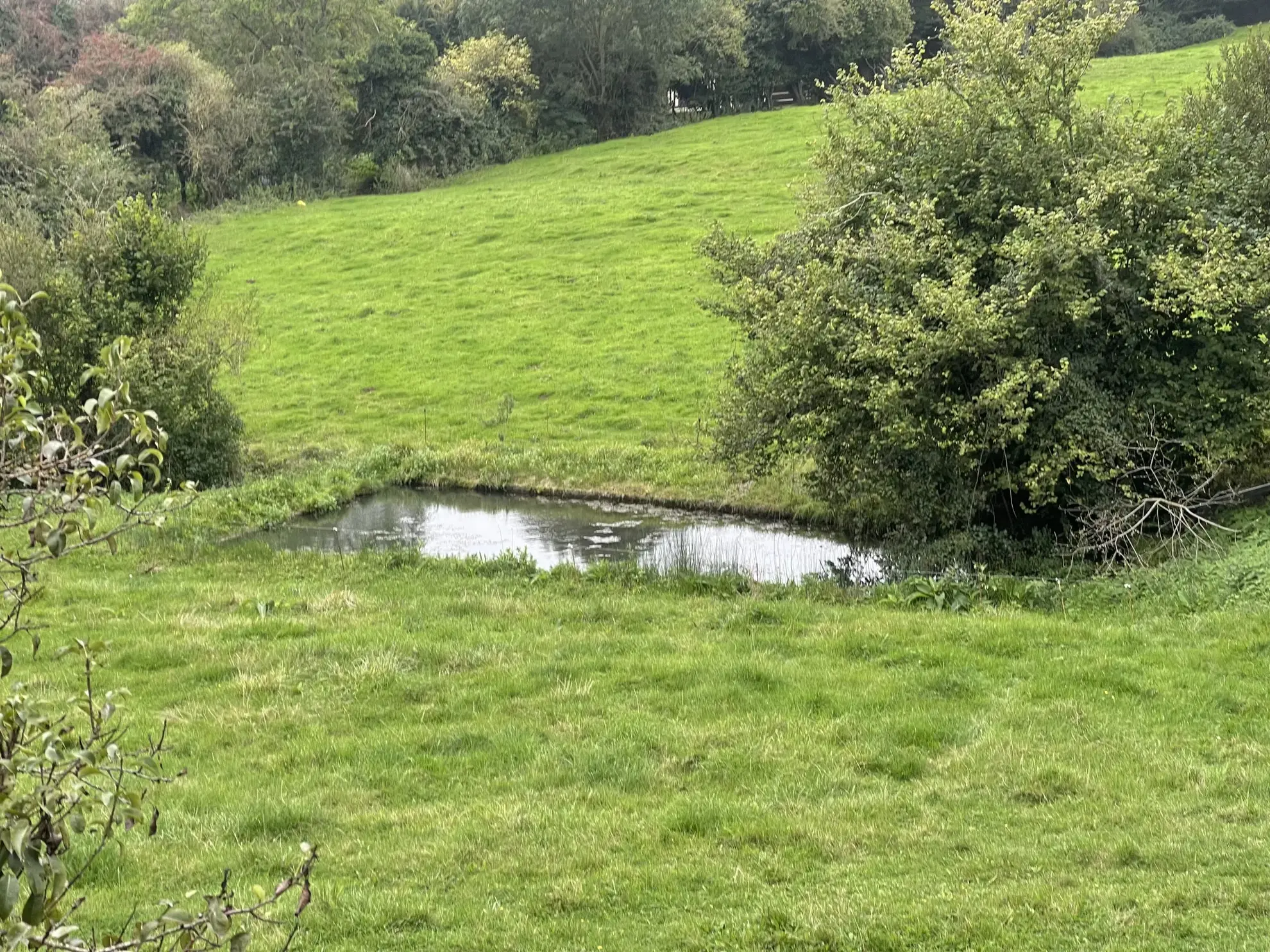 À vendre : Belle longère normande avec possibilités d'aménagement à Canapville 