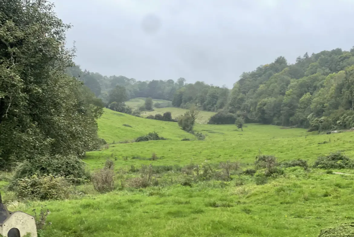 À vendre : Belle longère normande avec possibilités d'aménagement à Canapville 