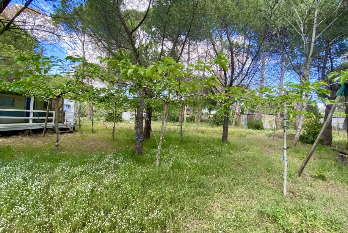 Terrain de loisir à Vias Plage avec 3 mobilhomes et accès à la plage 