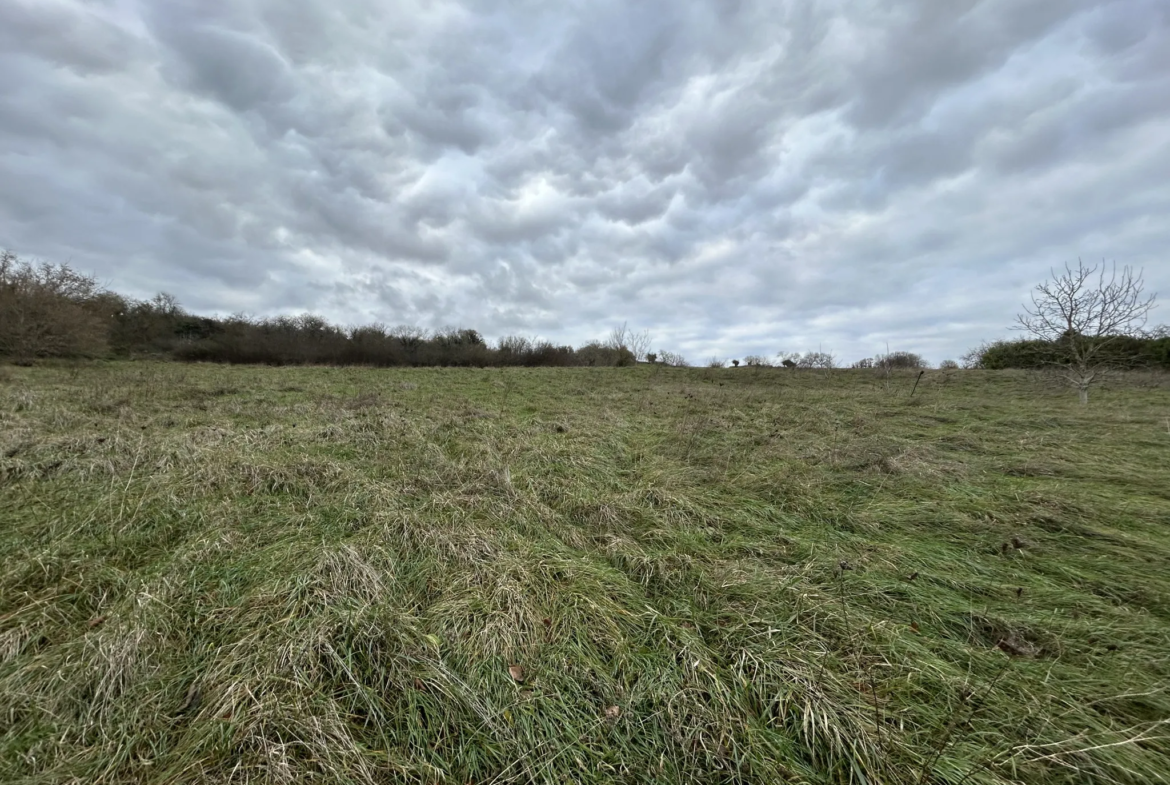 Propriété idéale pour chambres d'hôtes sur 2,3 hectares à Varzy 