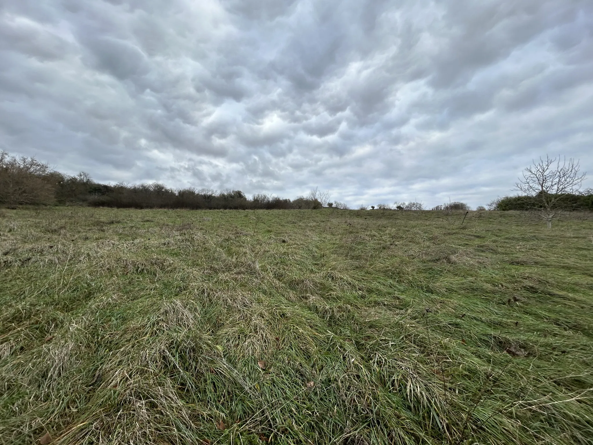 Propriété idéale pour chambres d'hôtes sur 2,3 hectares à Varzy 