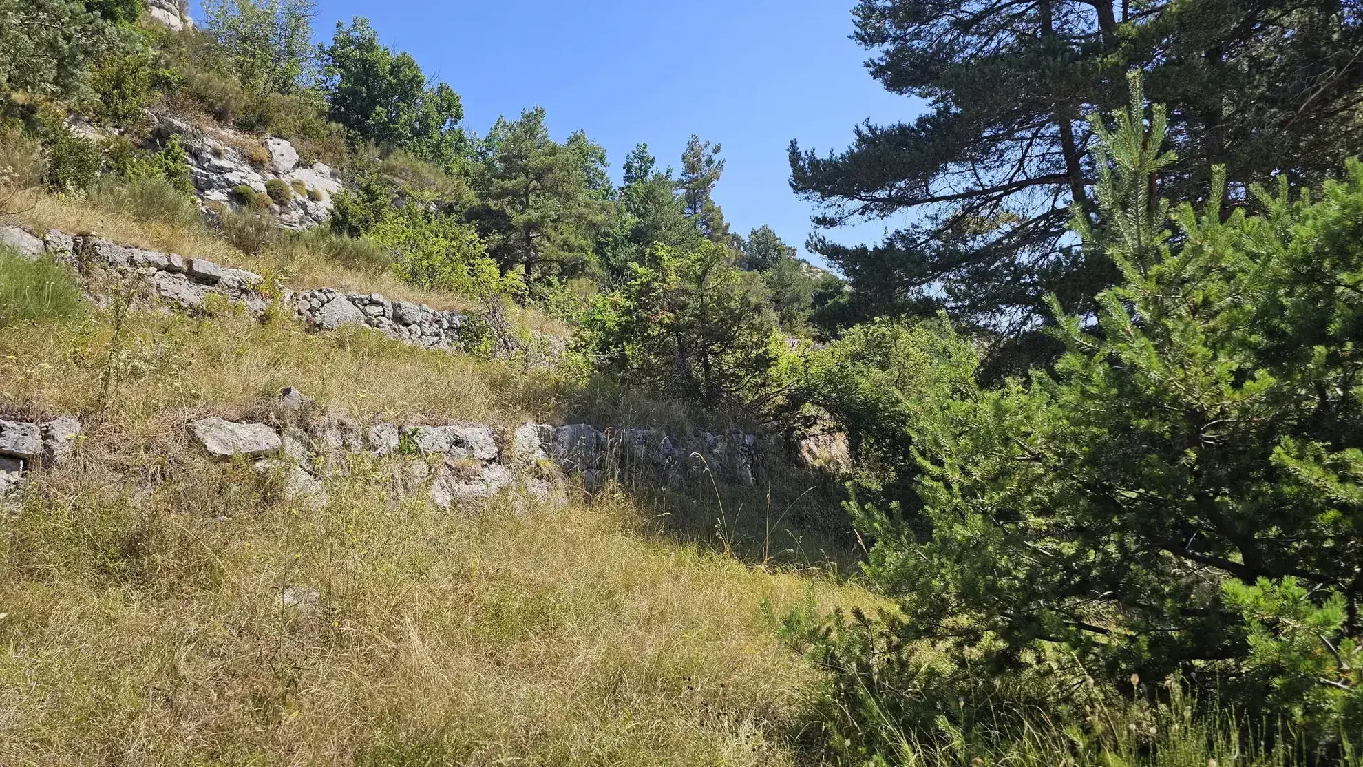 Terrain constructible avec vue panoramique sur la plaine de Caille à vendre 