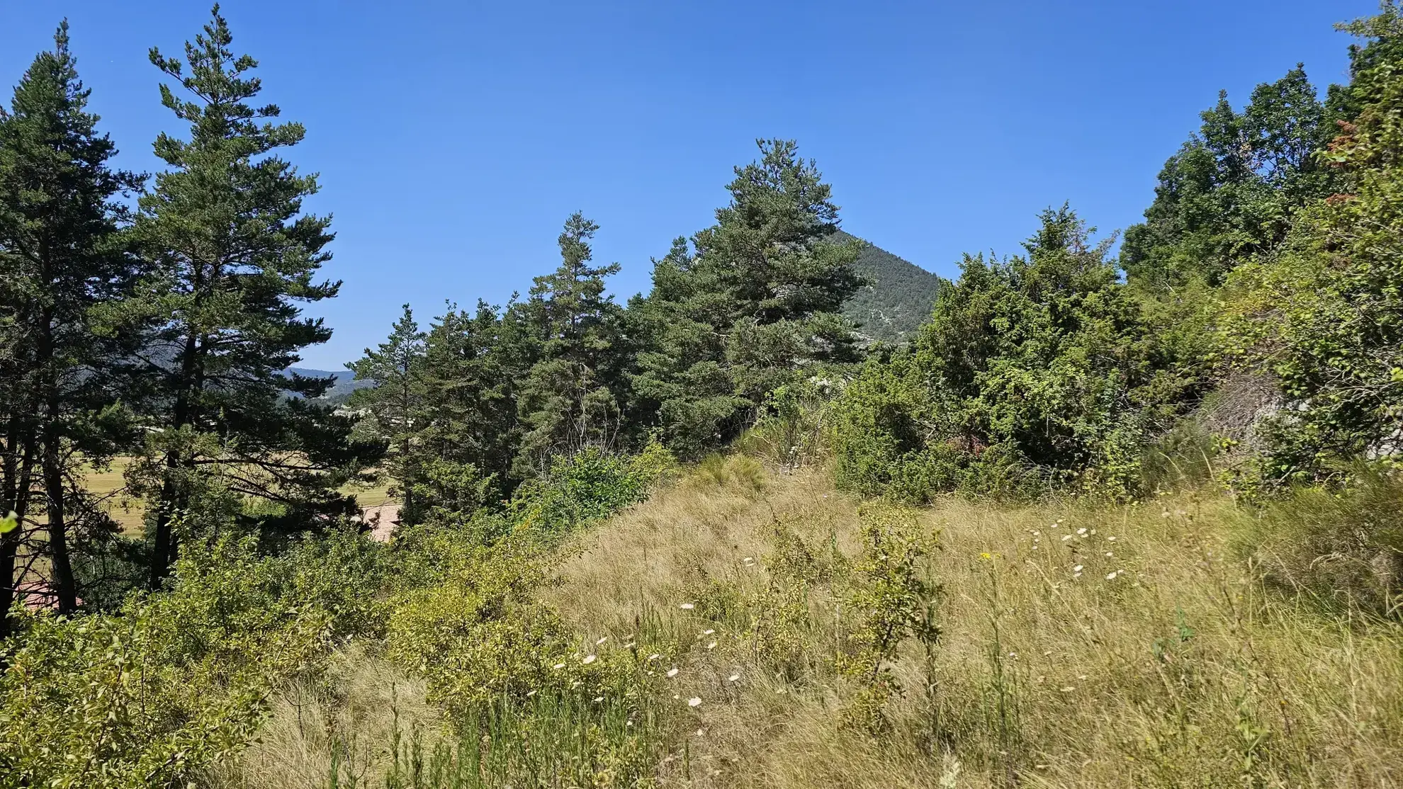 Terrain constructible avec vue panoramique sur la plaine de Caille à vendre 