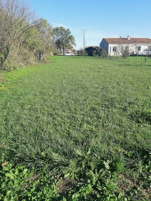 Terrain à bâtir de 1063 m² à Sainte-Hermine - Calme et Verdoyant 