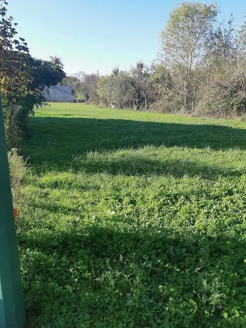 Terrain à bâtir de 1063 m² à Sainte-Hermine - Calme et Verdoyant 