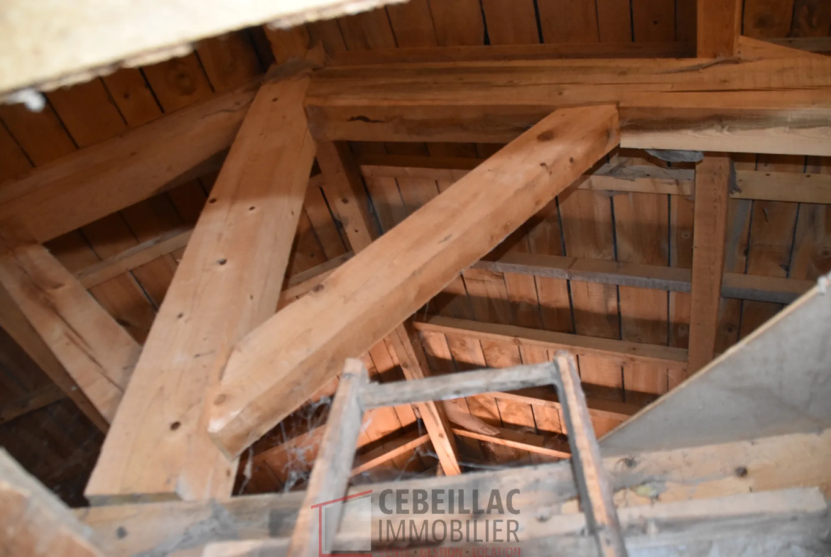 Ancien corps de ferme avec habitation et dépendances à vendre à Monlet 