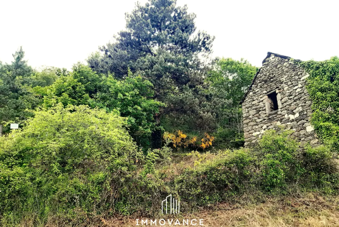 Maison de vigne à vendre avec terrain sur les hauteurs des Raspes du Tarn 