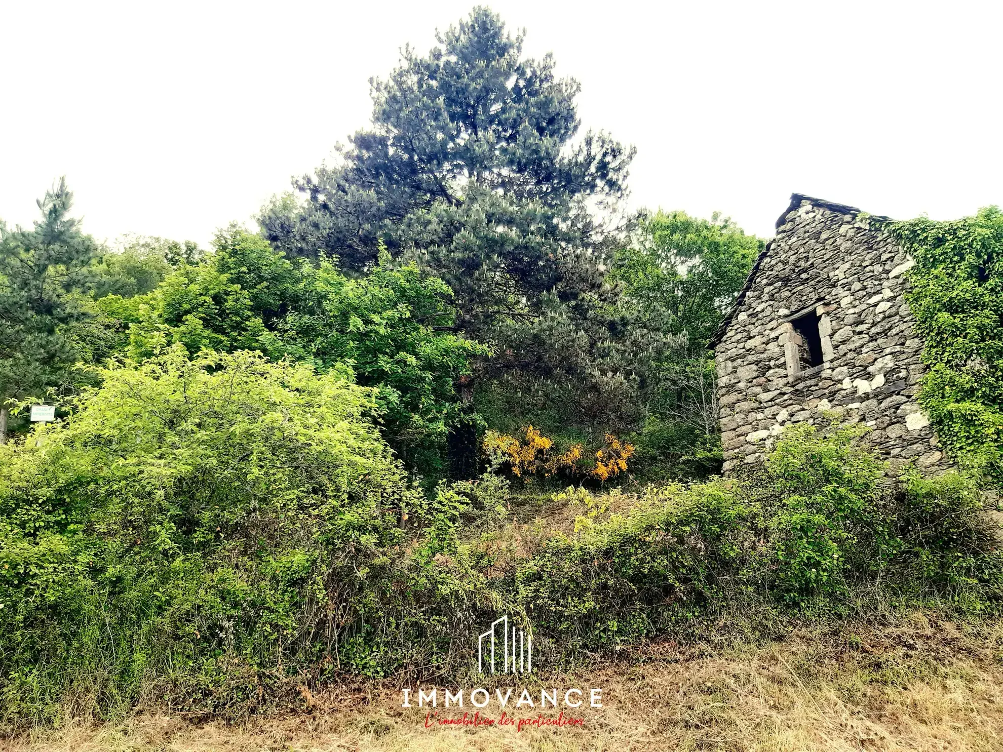 Maison de vigne à vendre avec terrain sur les hauteurs des Raspes du Tarn 