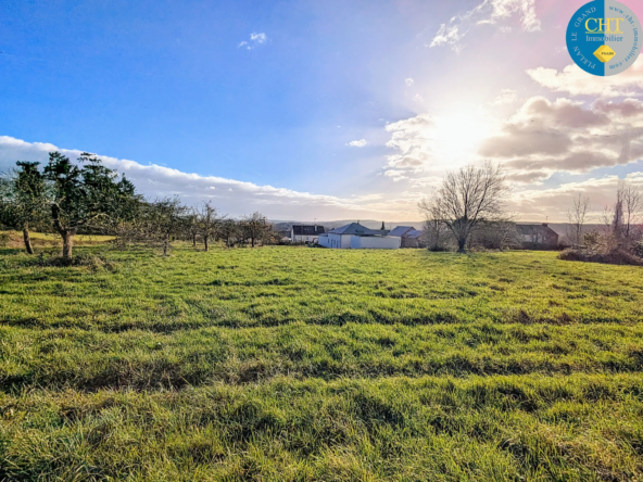 Terrain de 546 m² à vendre à Guer (56 380)