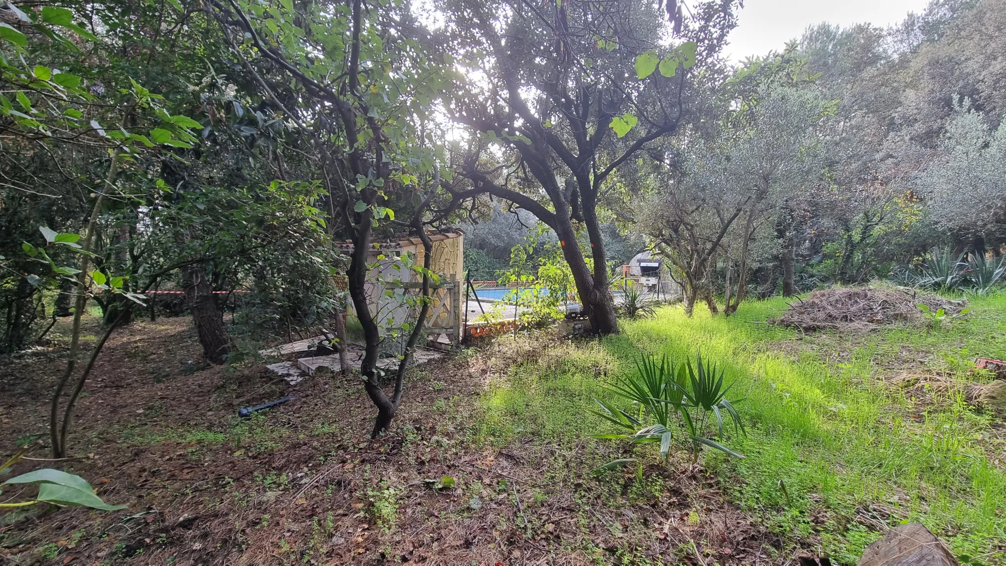 Terrain à bâtir à Villevieille avec piscine 