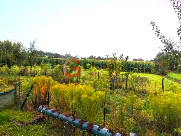 Propriété Agricole de 6.5 ha Cultivables à Lacajunte - 480 m² de Bâtiments 