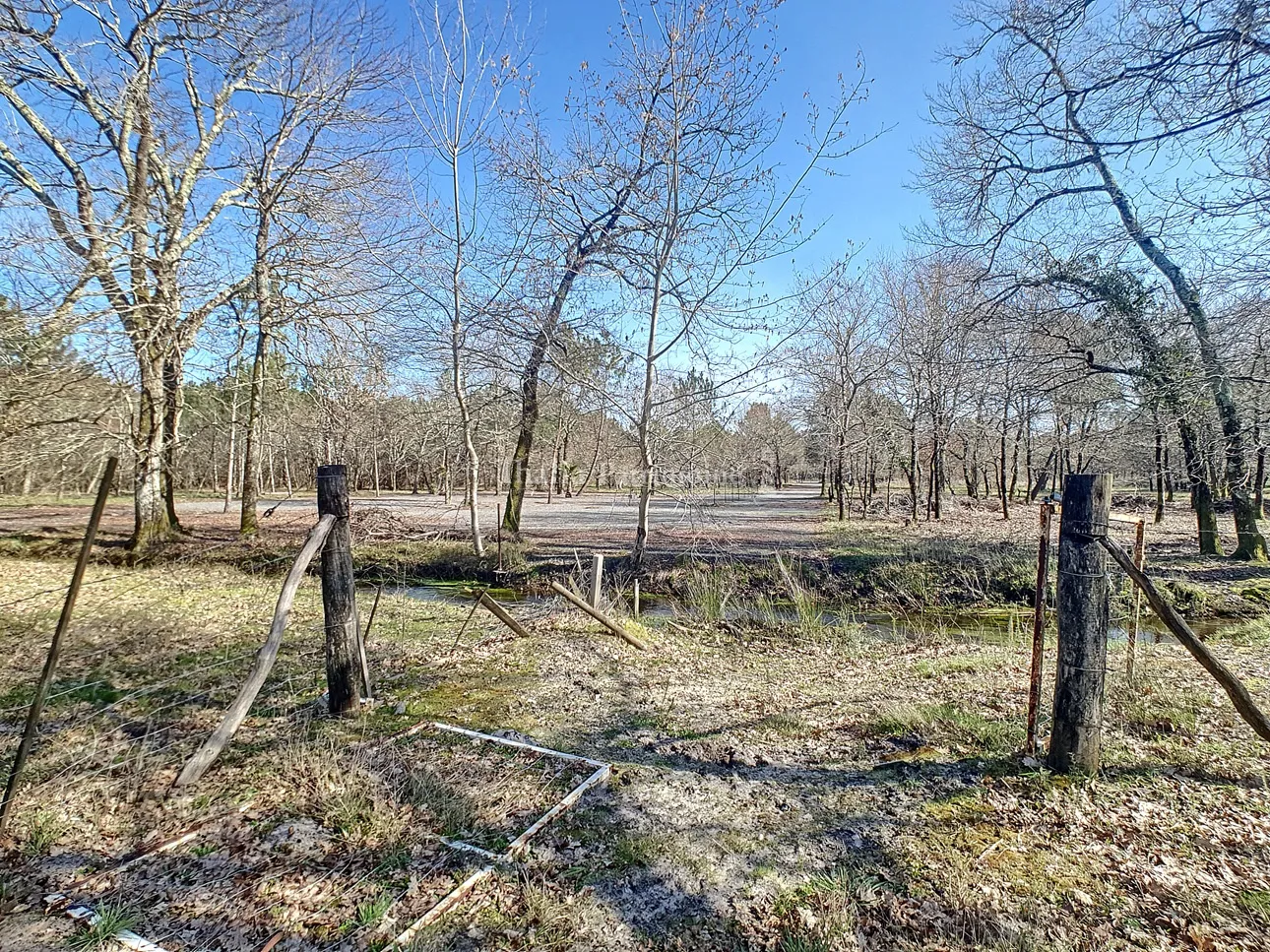 Terrain boisé en zone NL de 7790 m² à Gujan-Mestras 