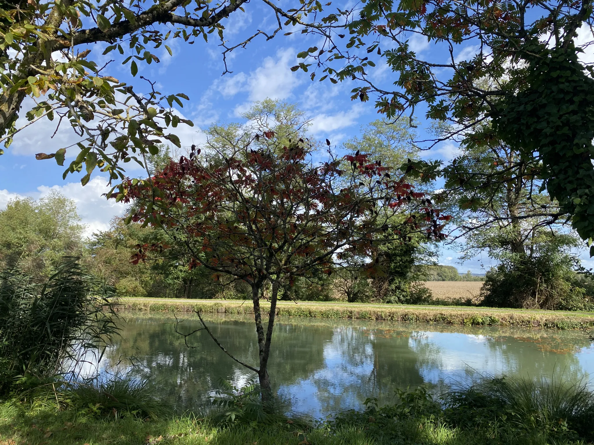 Maison en vente au bord du canal à Hure 