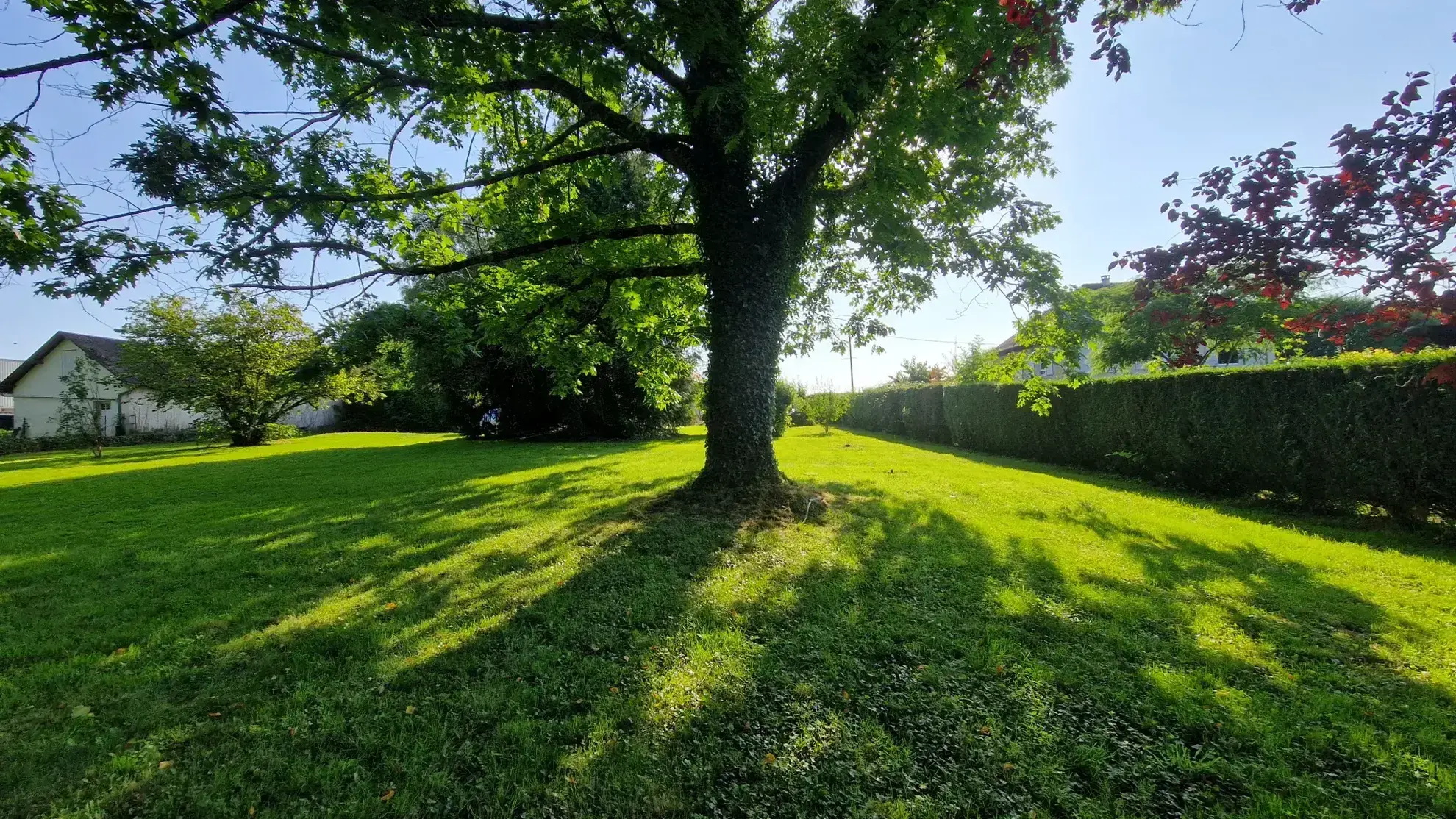 Longère à vendre à Arnac-Pompadour sur 3000 m² de parc 