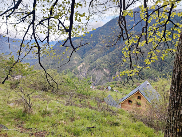 Terrain Constructible Panoramique de 1397 m2 à Venanson