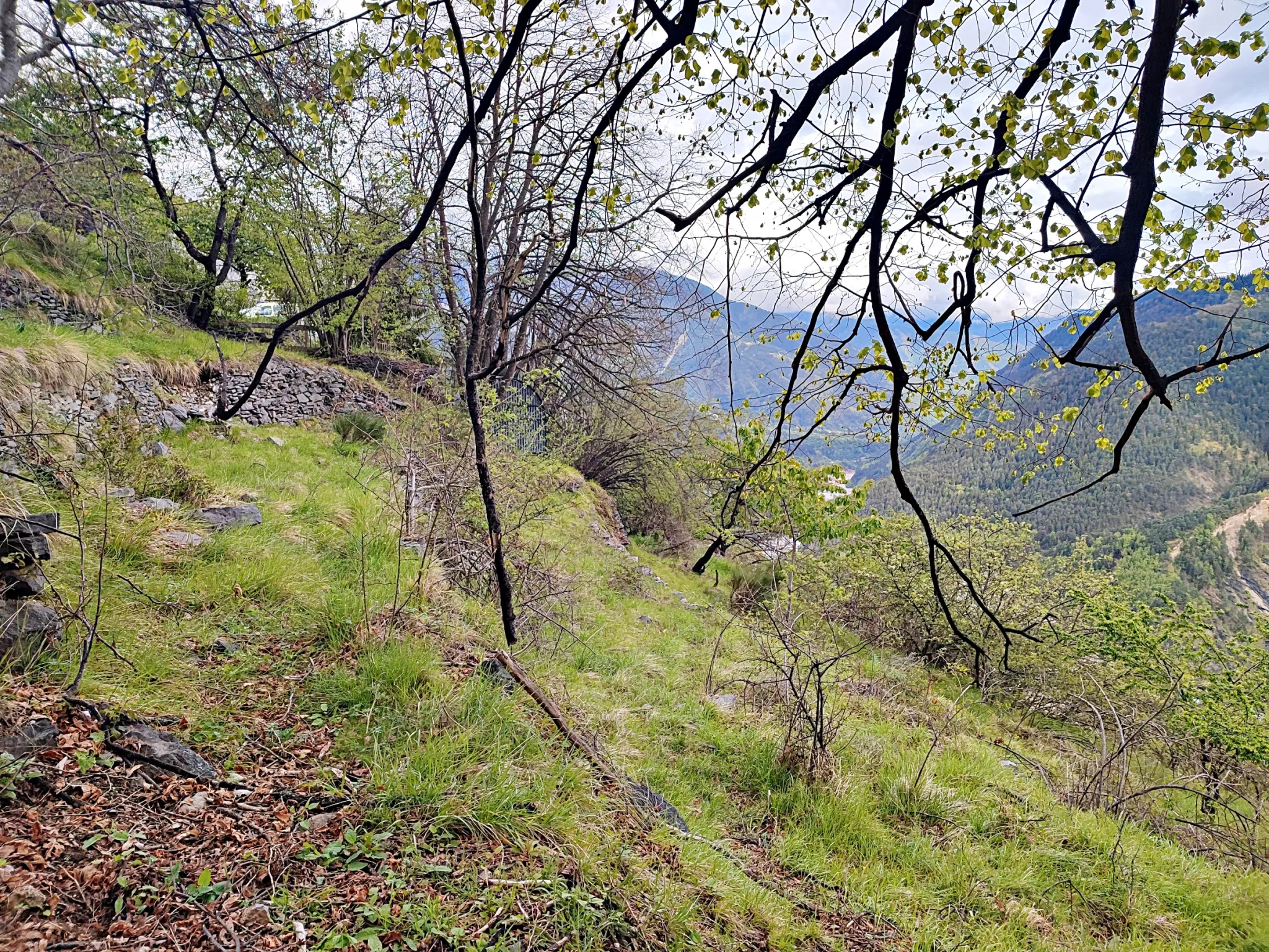 Terrain constructible panoramique de 1397 m² à Venanson 