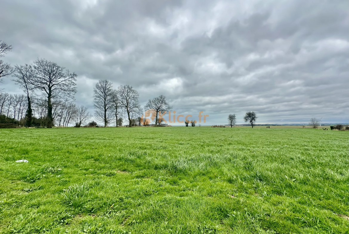 Maison contemporaine à vendre, 1000 m² de jardin, à 20 min de Dieppe 