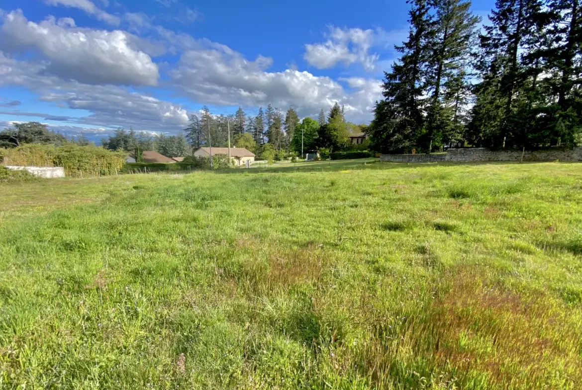 Magnifique terrain à bâtir de 1 015 m² à Roiffieux 