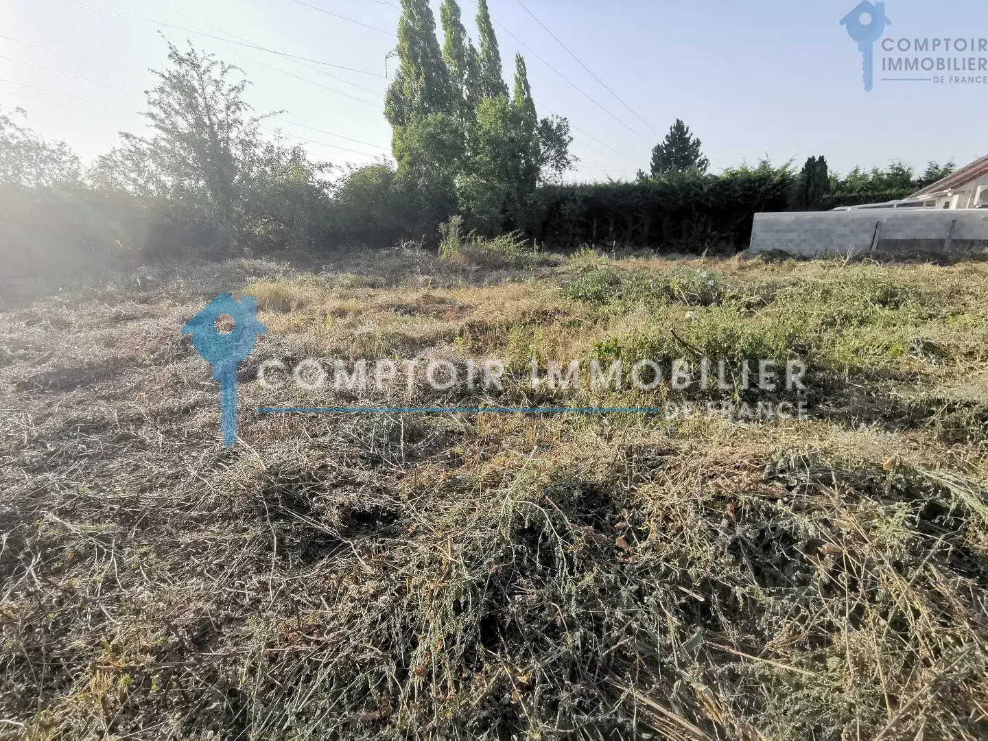 À vendre : Terrain constructible de 637 m² à La Forêt Le Roi 