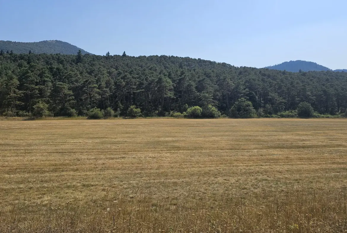 Vente de parcelle de terre agricole à Seranon 