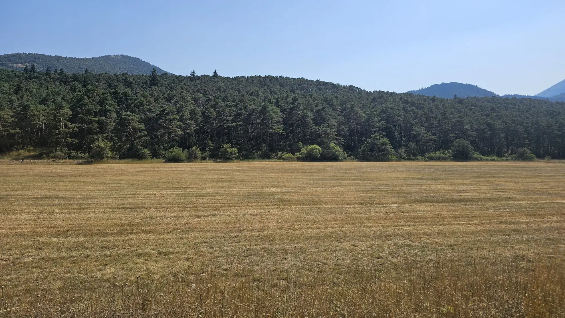 Vente de parcelle de terre agricole à Seranon 