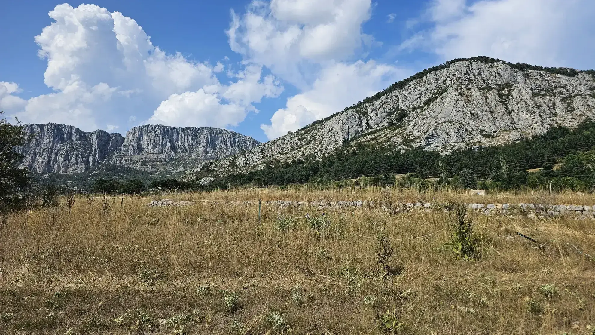 Vente de parcelle de terre agricole à Seranon 