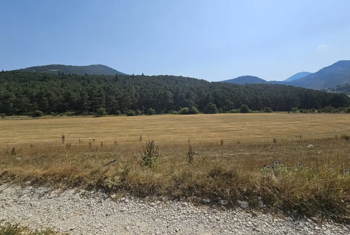 Vente de parcelle de terre agricole à Seranon 