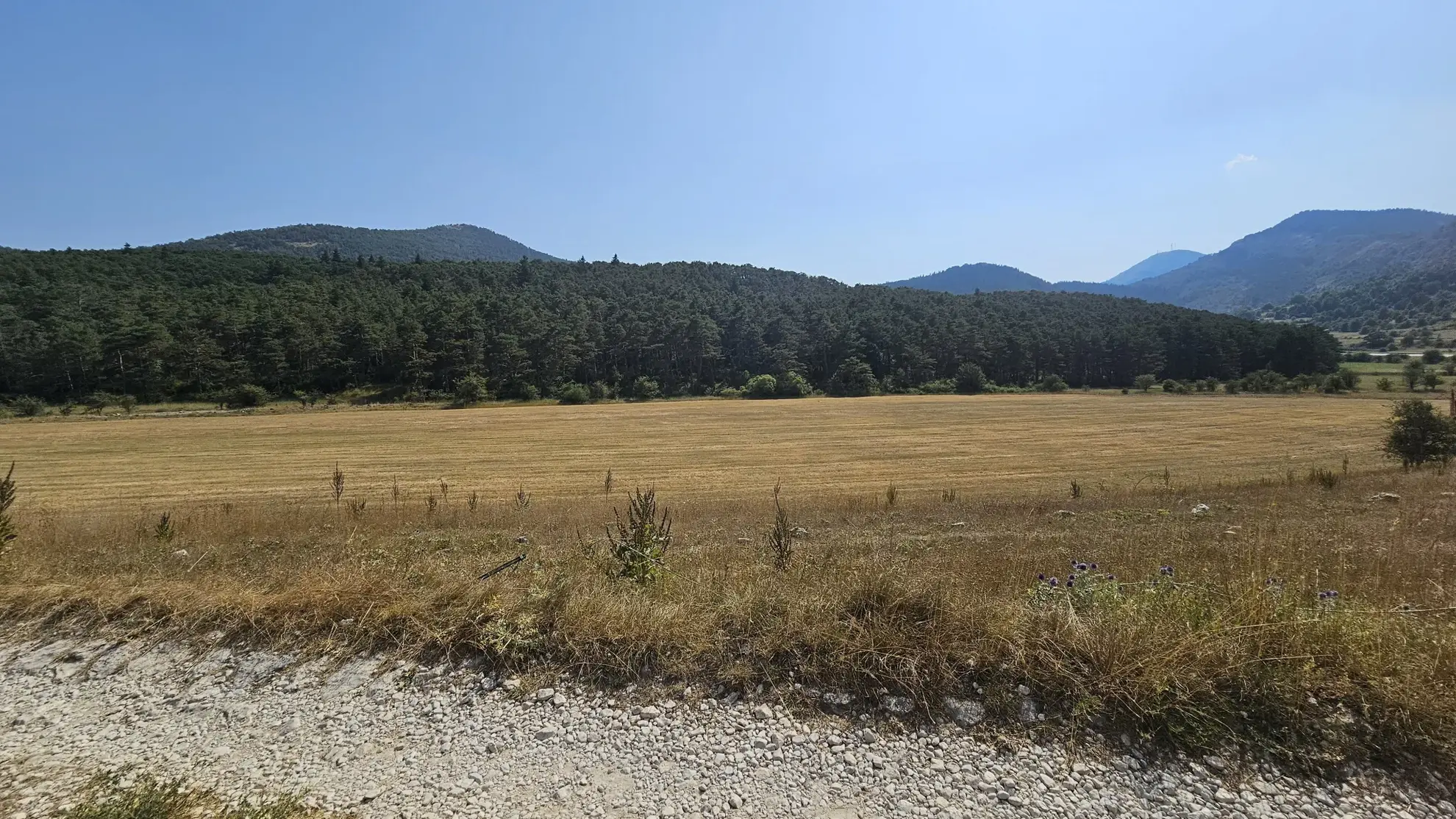 Vente de parcelle de terre agricole à Seranon 