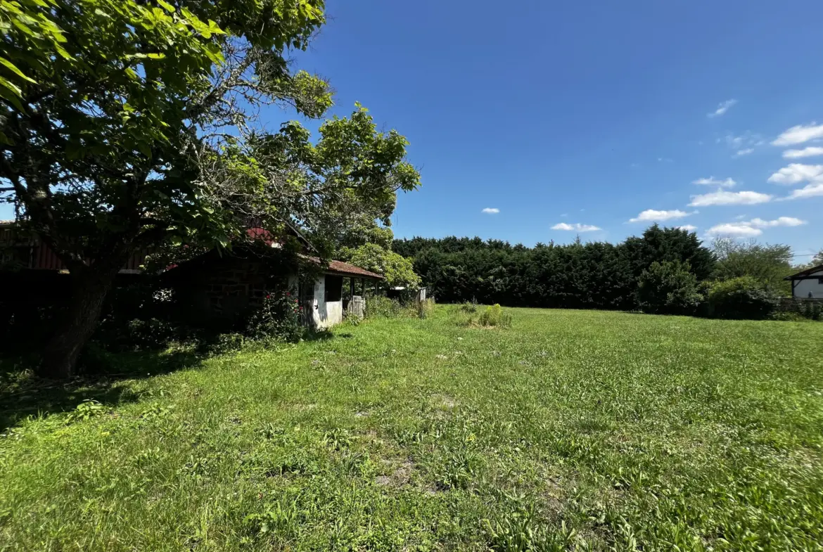 Maison de maître au cœur d'un village à Bazas 