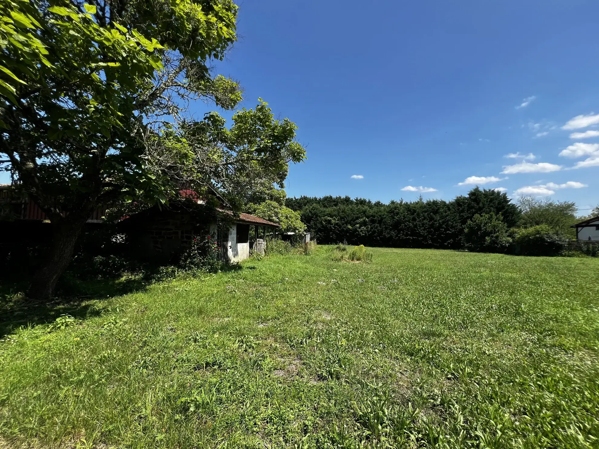 Maison de maître au cœur d'un village à Bazas 