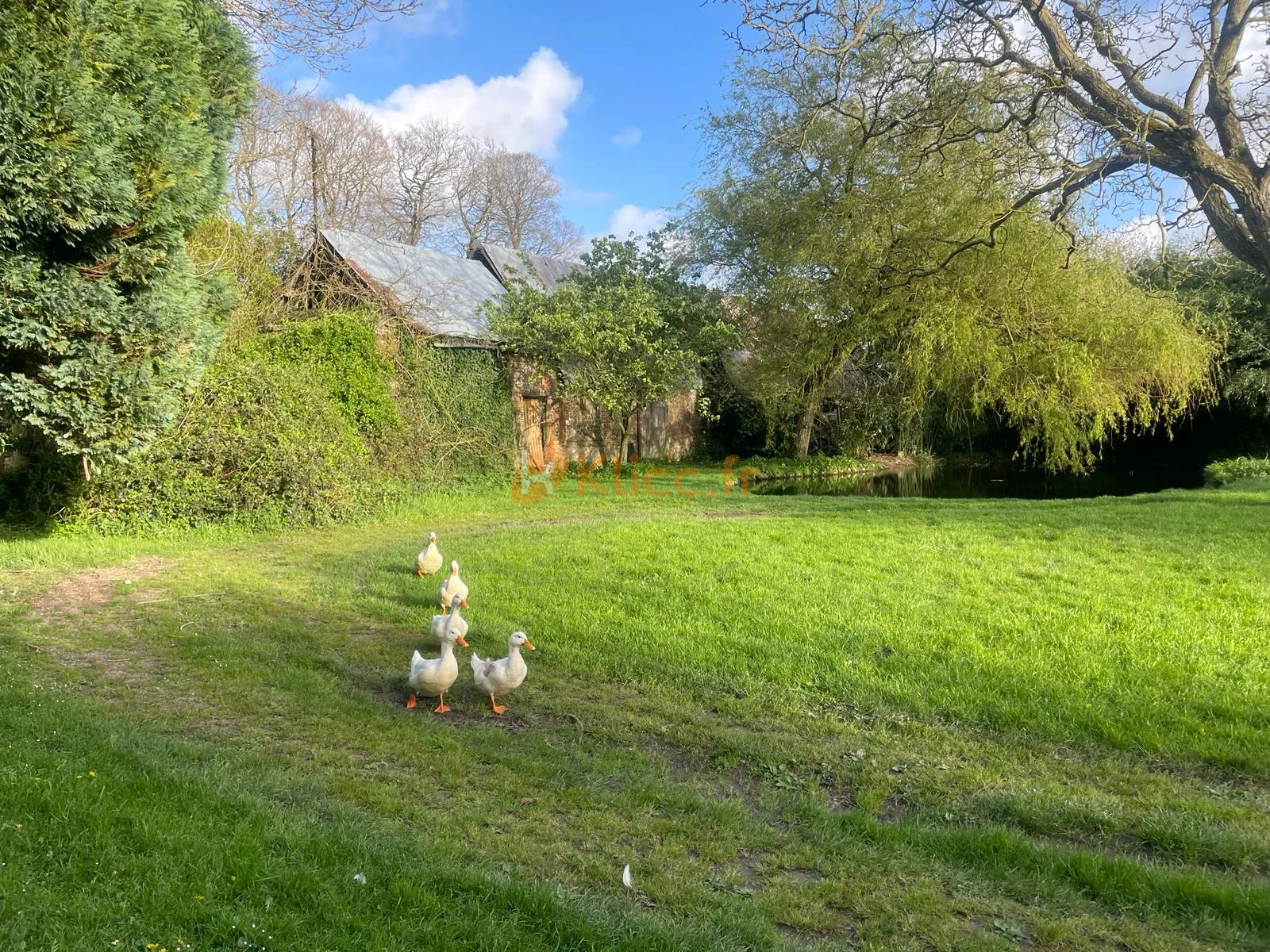 Maison de campagne en viager proche des plages en Normandie 