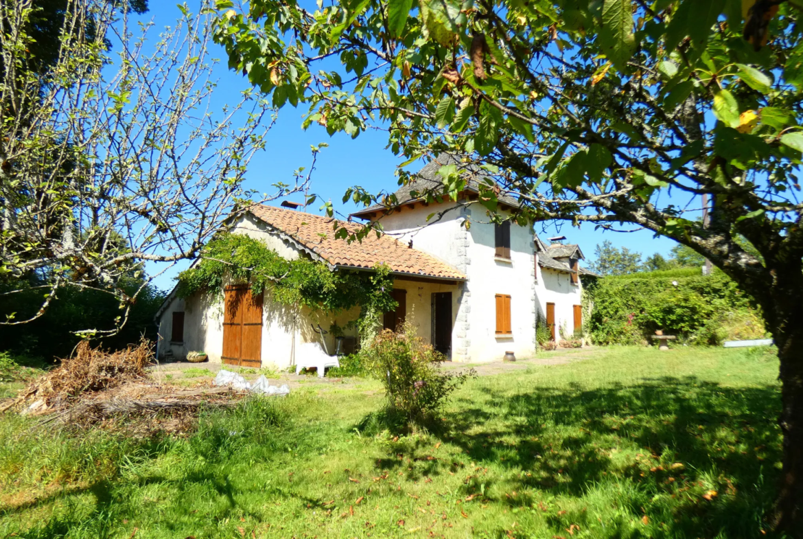 Belle maison auvergnate en pierre à Aurillac avec piscine 