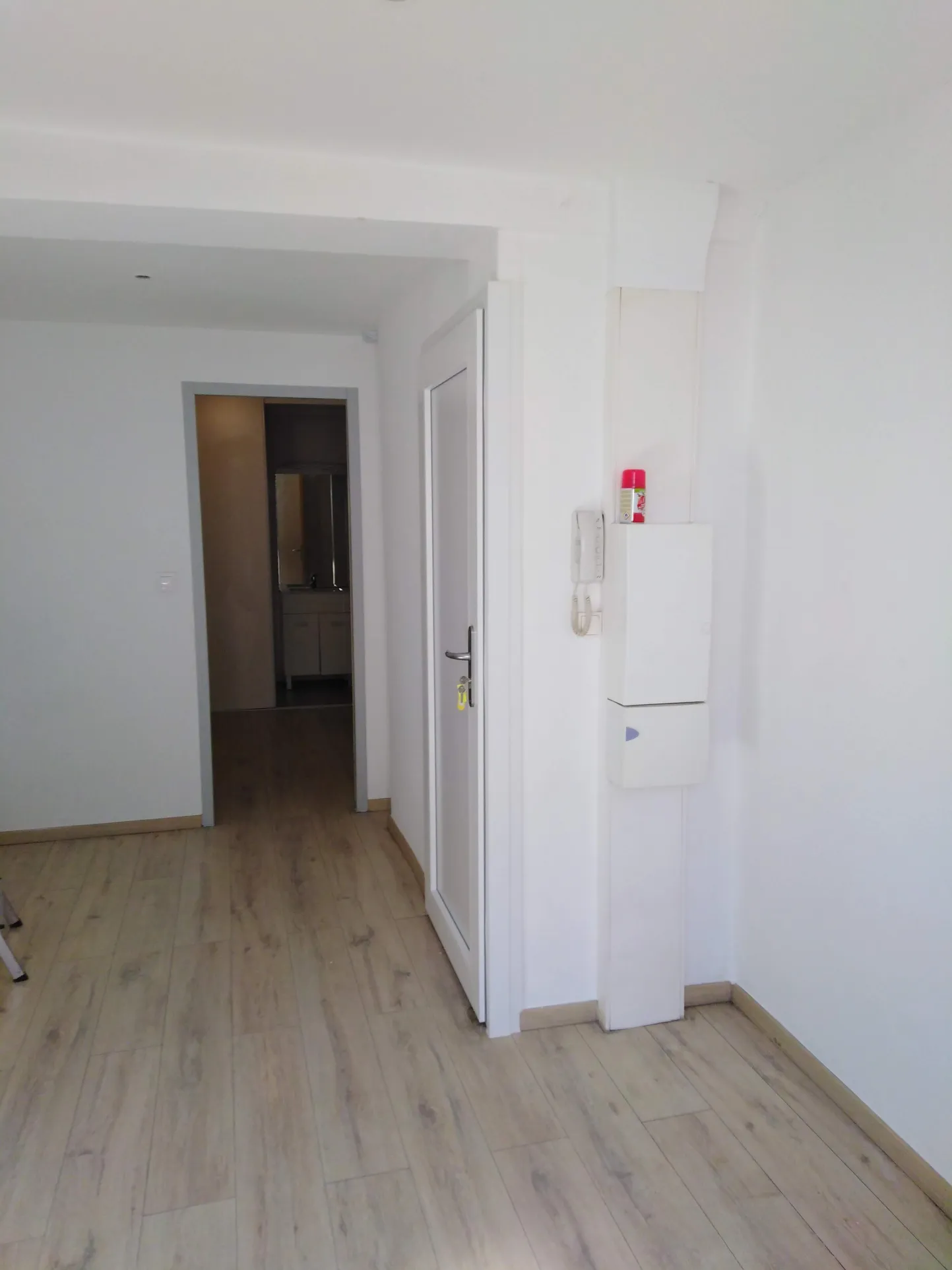 Immeuble à vendre à Perpignan avec garage et 3 logements 