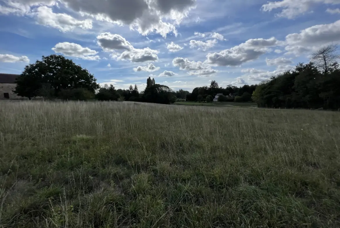 Terrain constructible de 11 861 m² à Fyé - 35 000 € 