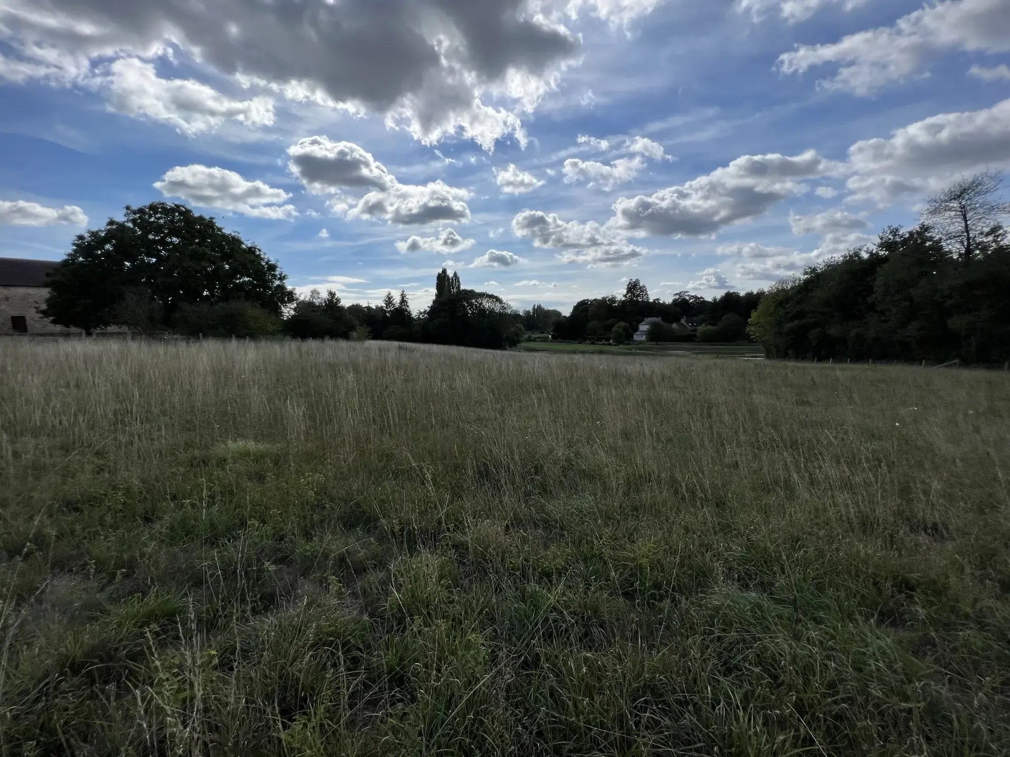 Terrain constructible de 11 861 m² à Fyé - 35 000 € 