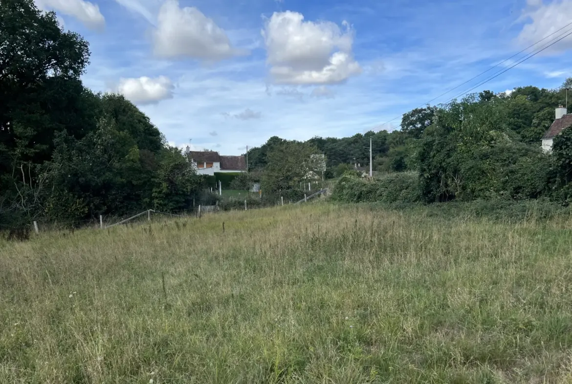 Terrain constructible de 11 861 m² à Fyé - 35 000 € 