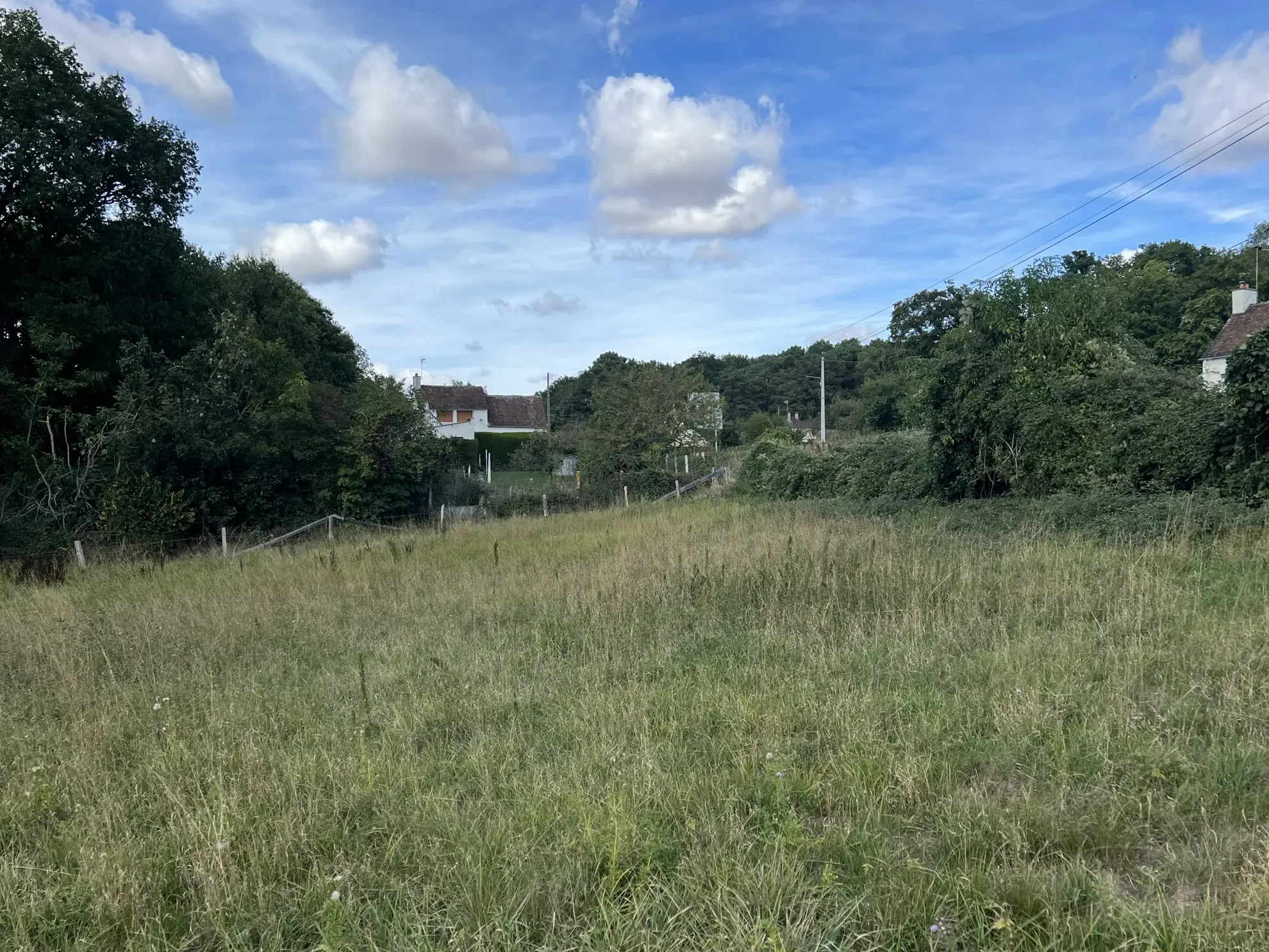 Terrain constructible de 11 861 m² à Fyé - 35 000 € 