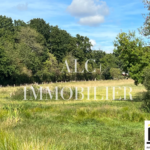 Terrain constructible de 11 861 m² à Fyé - 35 000 €