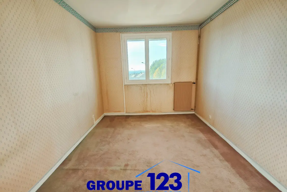 T3 Lumineux à Migennes - Vente Appartement 