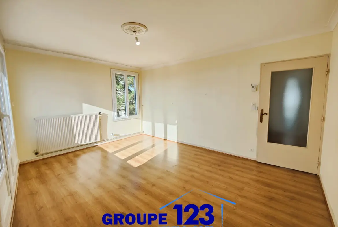 T3 Lumineux à Migennes - Vente Appartement 