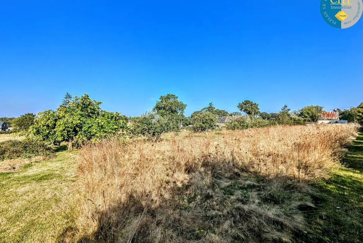 Terrain constructible hors lotissement à Plélan le Grand 