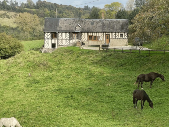 Maison en vente à Vimoutiers - 107 m² sur 4 hectares