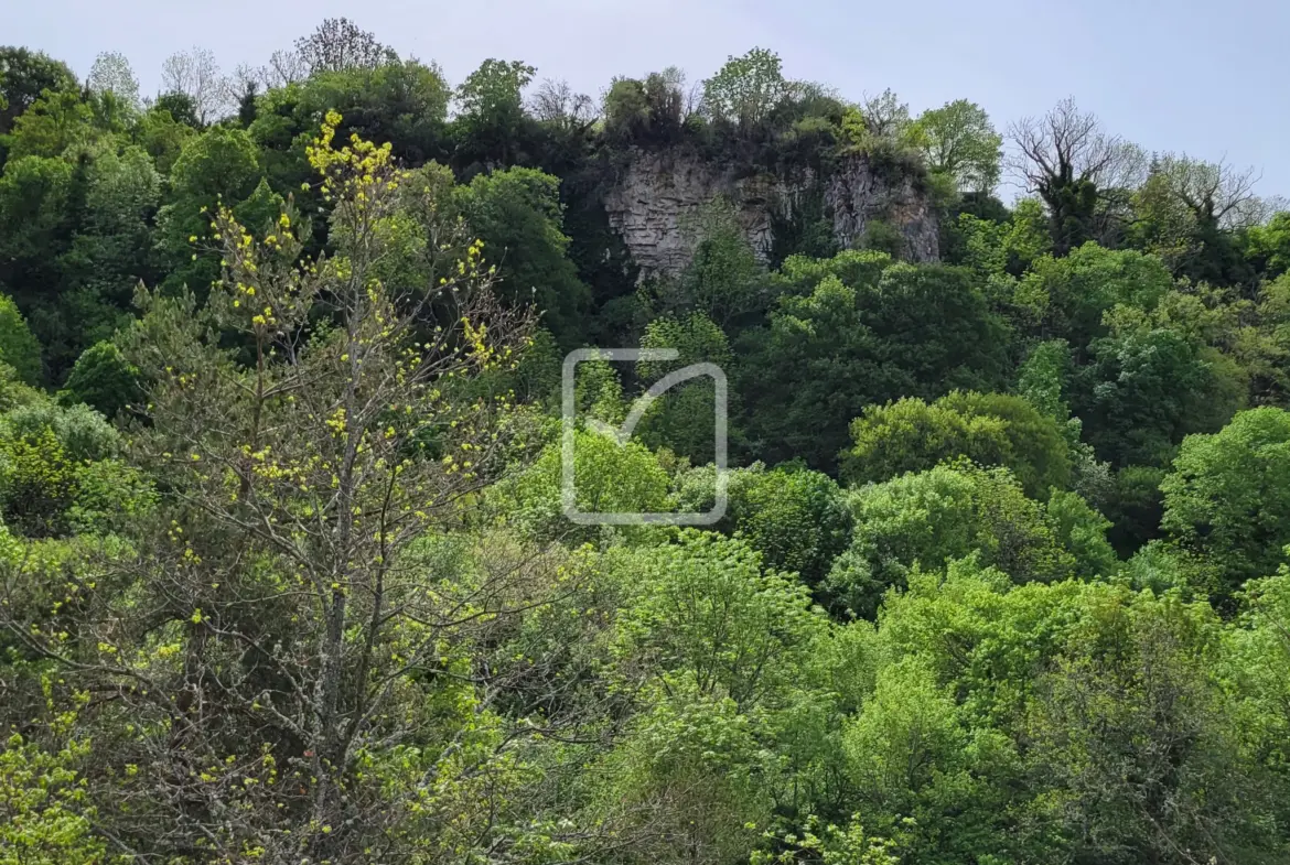 Terrain constructible avec grange et parcelles en bois près de Plan de Baix 