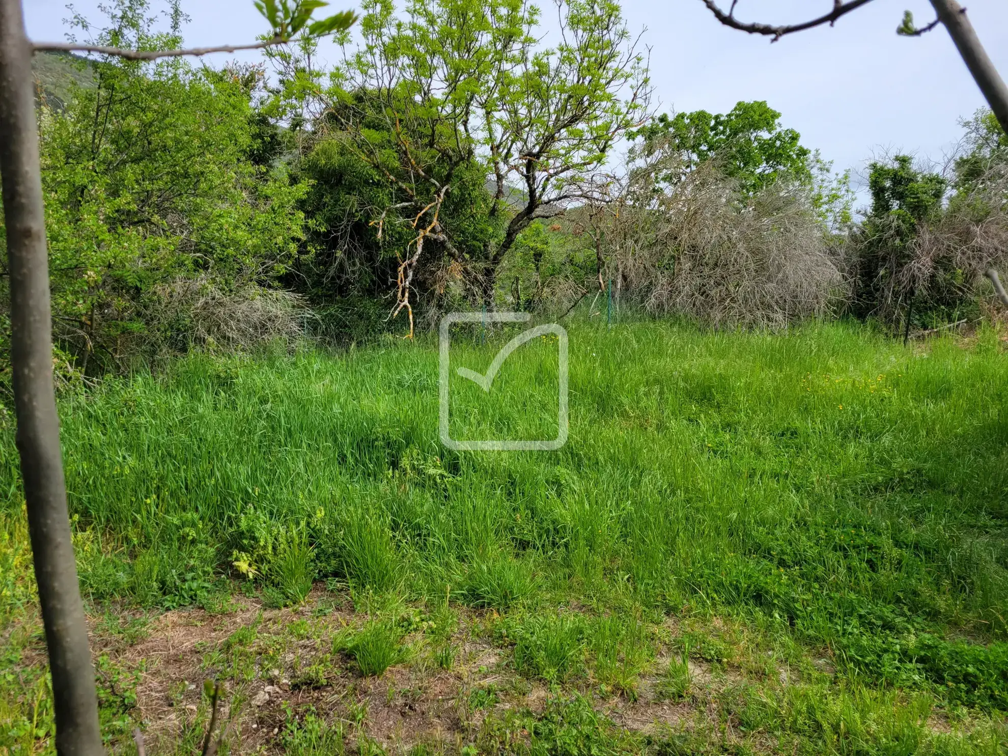 Terrain constructible avec grange et parcelles en bois près de Plan de Baix 