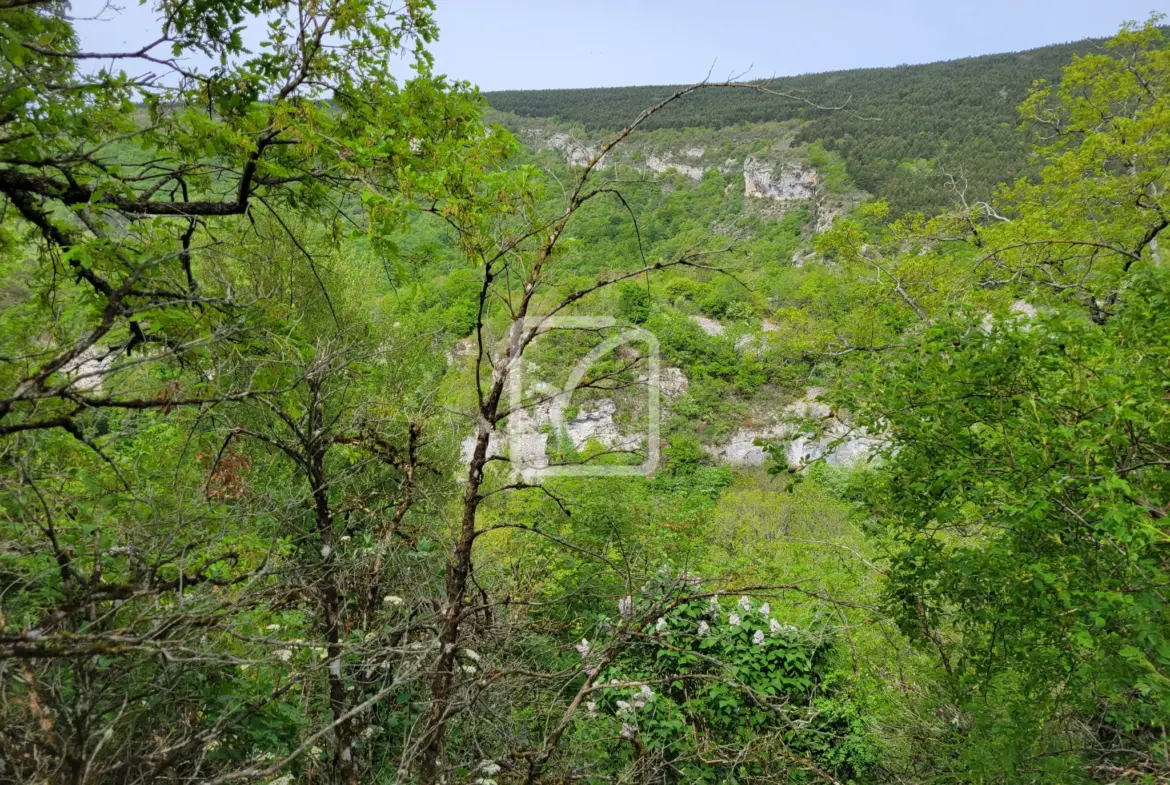 Terrain constructible avec grange et parcelles en bois près de Plan de Baix 