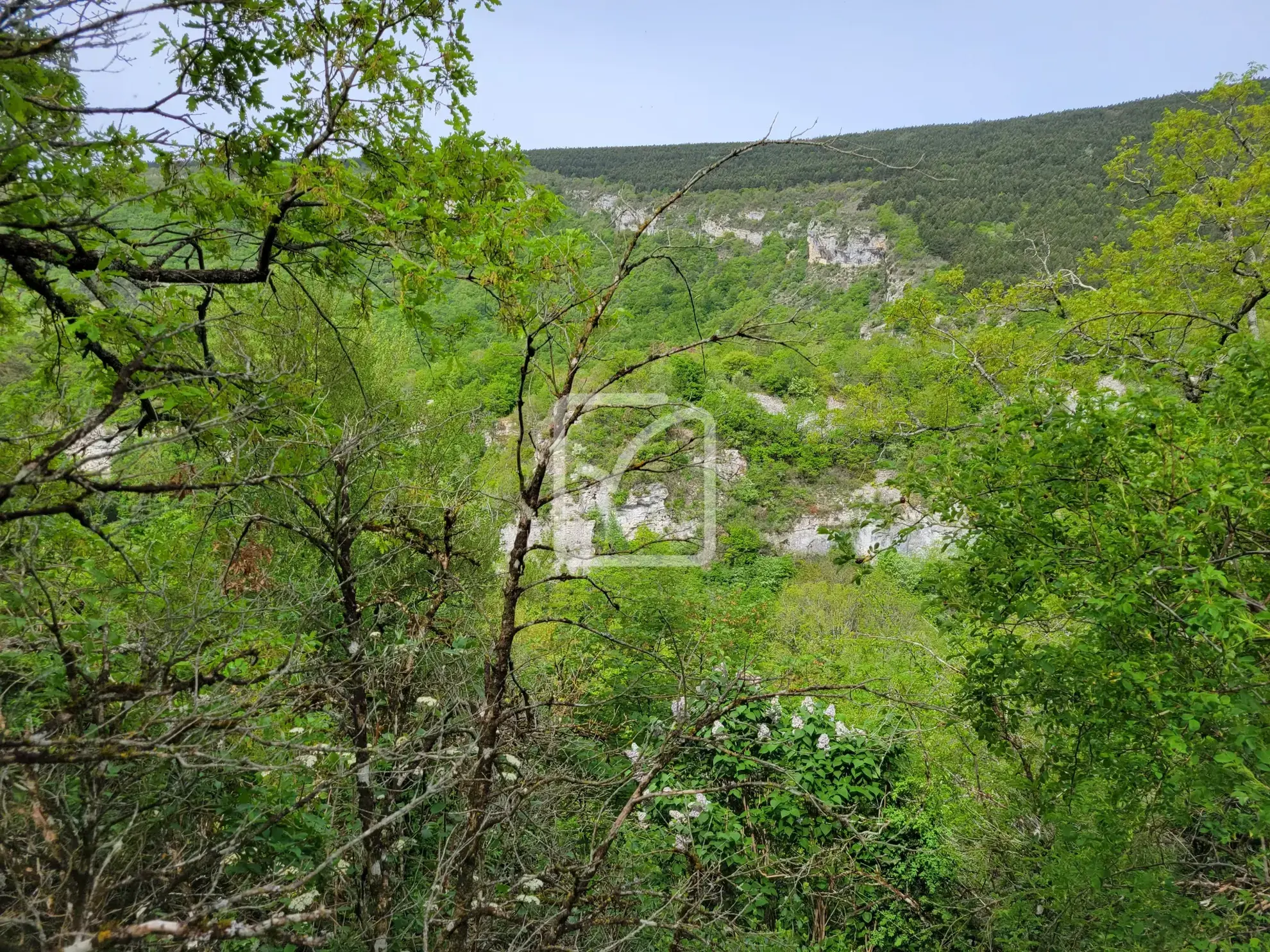 Terrain constructible avec grange et parcelles en bois près de Plan de Baix 