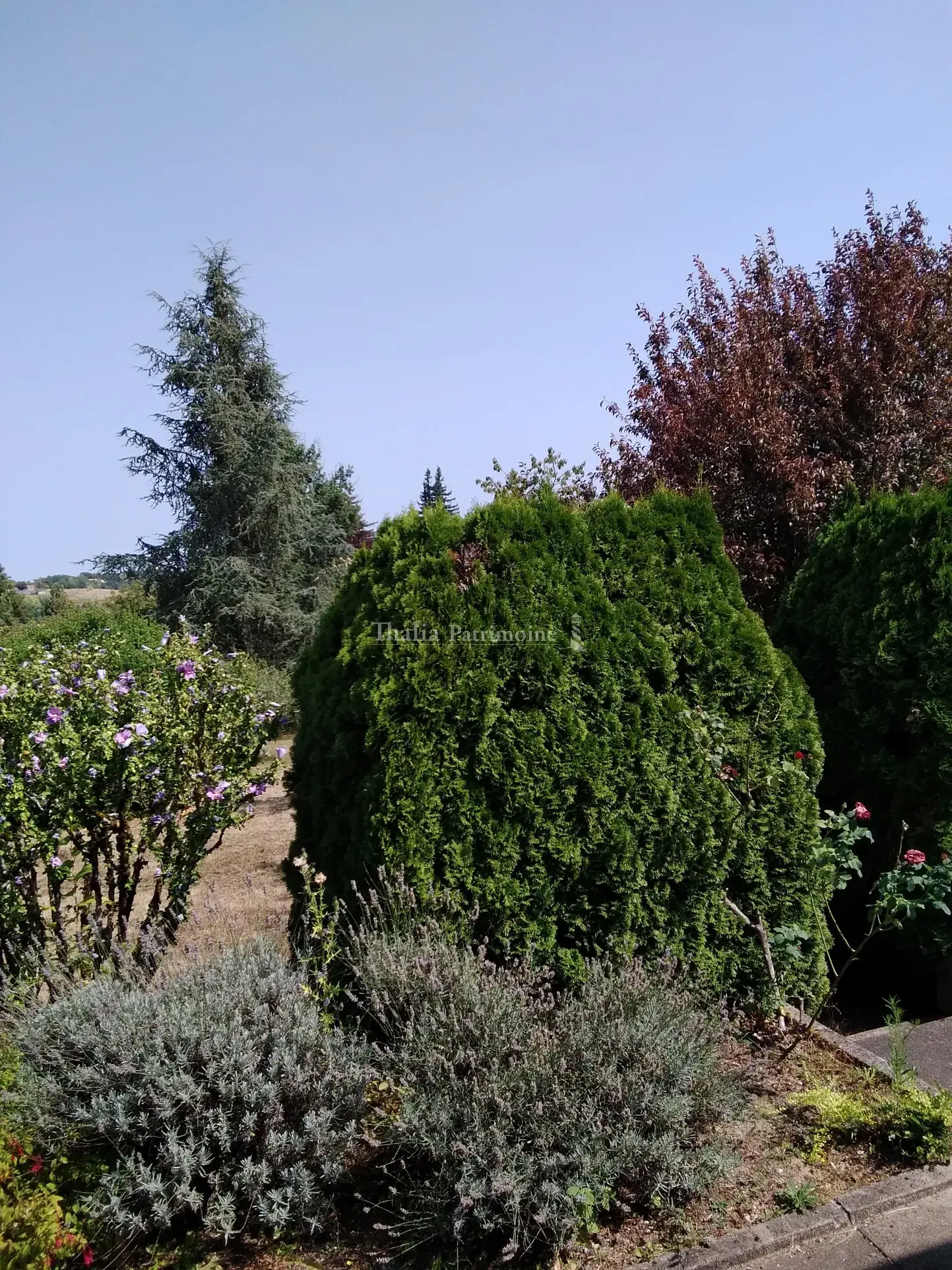 Maison chaleureuse avec jardin à Riberac 